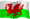 Swaps Offered and Wanted in Wales
